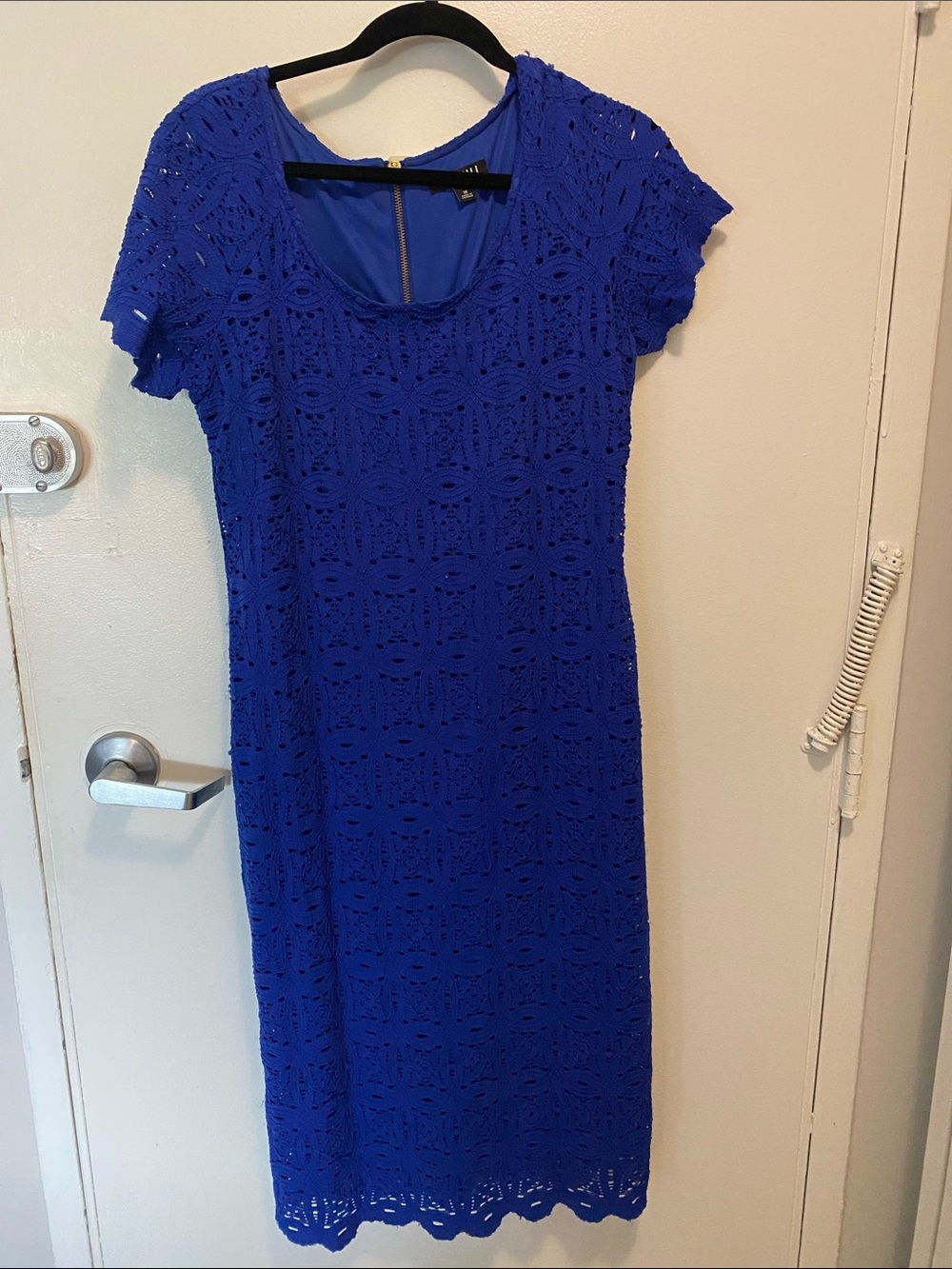 Royal Blue Lace Shift Dress